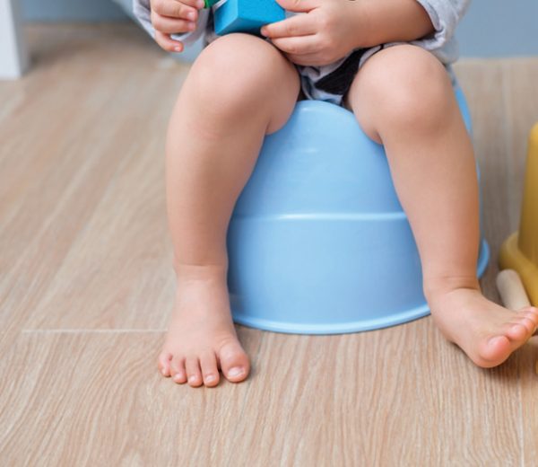 L’apprentissage de la propreté pas à pas