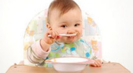 L’alimentation chez les 1/3 ans