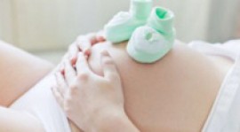 La grossesse en trois trimestres
